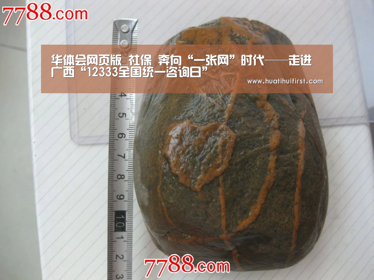 华体会网页版_社保 奔向“一张网”时代——走进广西“12333全国统一咨询日”(图2)