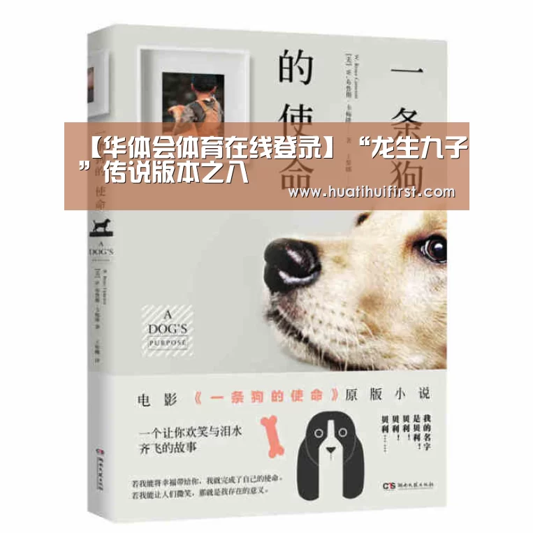 华体会体育在线登录