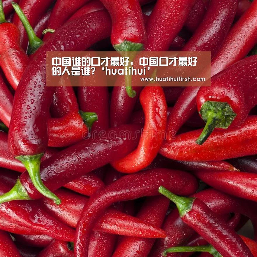 中国谁的口才最好，中国口才最好的人是谁?‘huatihui’(图1)